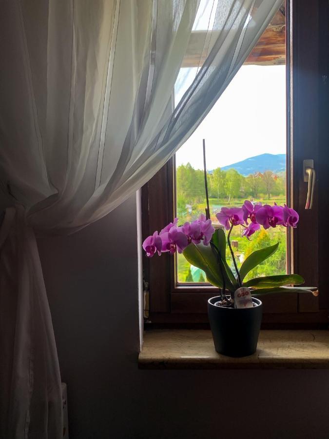 Po Drodze Apartment สโตรเนีย ชล็องสเกีย ภายนอก รูปภาพ